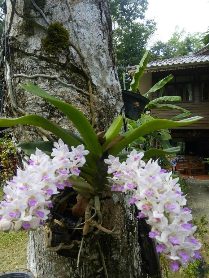 Готель Koh Kood Little Hut Ko Kut Екстер'єр фото