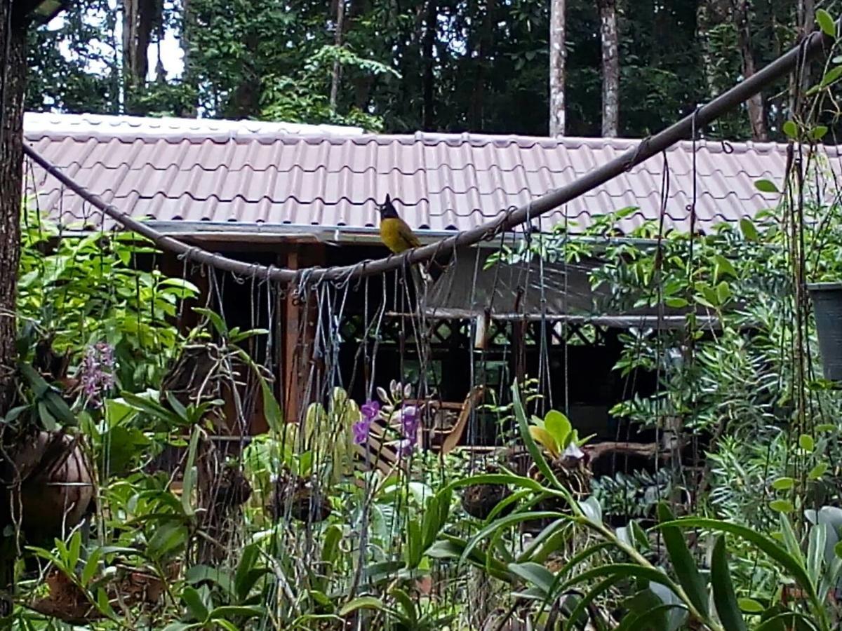 Готель Koh Kood Little Hut Ko Kut Екстер'єр фото