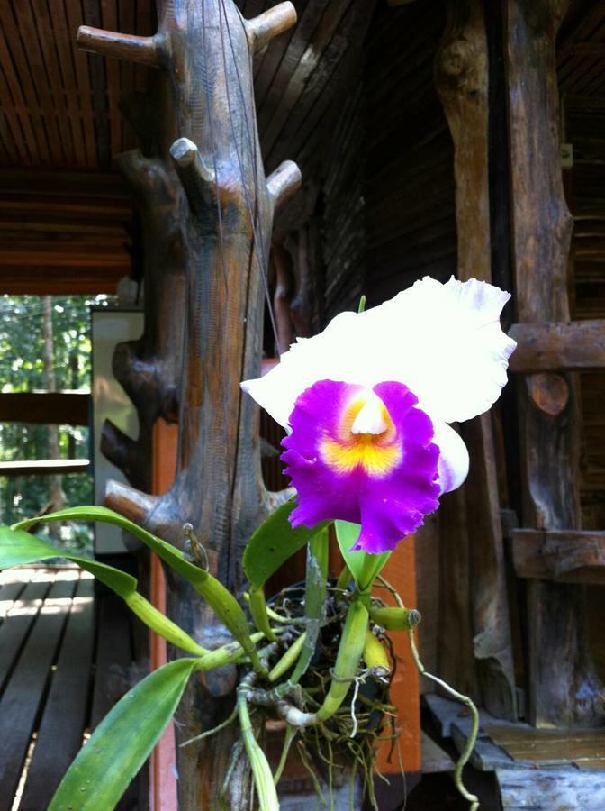 Готель Koh Kood Little Hut Ko Kut Екстер'єр фото