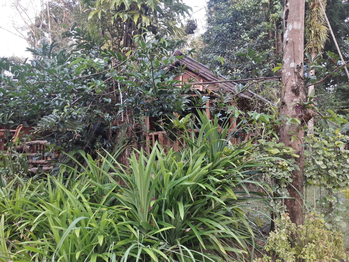 Готель Koh Kood Little Hut Ko Kut Екстер'єр фото
